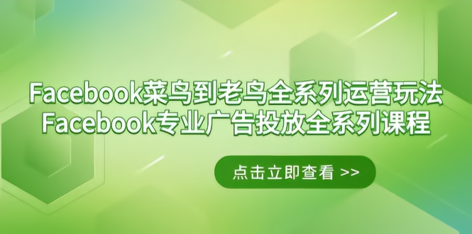 Facebook-菜鸟到老鸟全系列运营玩法+Facebook-专业广告投放全系列课程